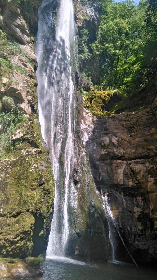 Le Chalet Du Blanc Spa Yoga Aillon-le-Jeune Εξωτερικό φωτογραφία