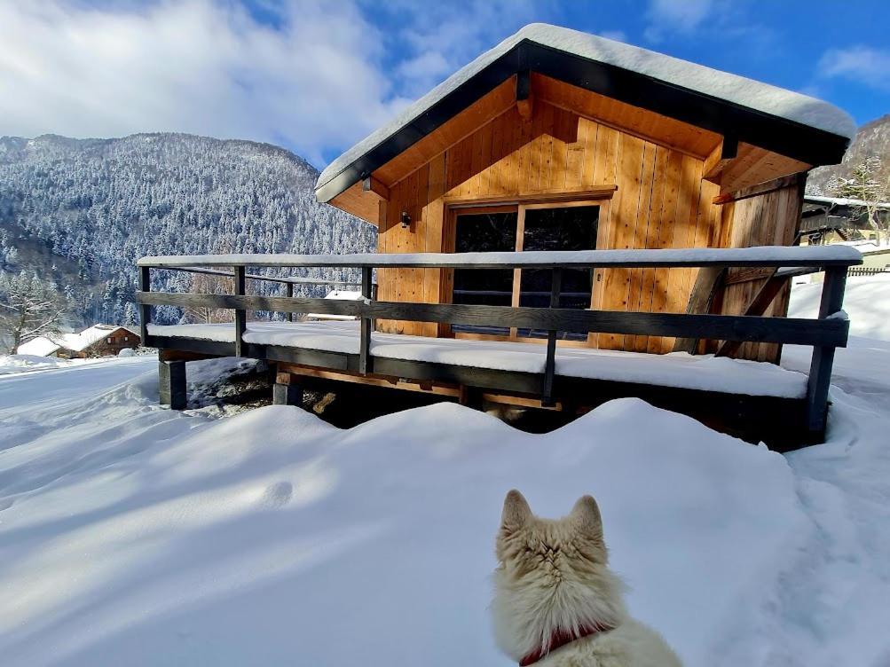 Le Chalet Du Blanc Spa Yoga Aillon-le-Jeune Εξωτερικό φωτογραφία