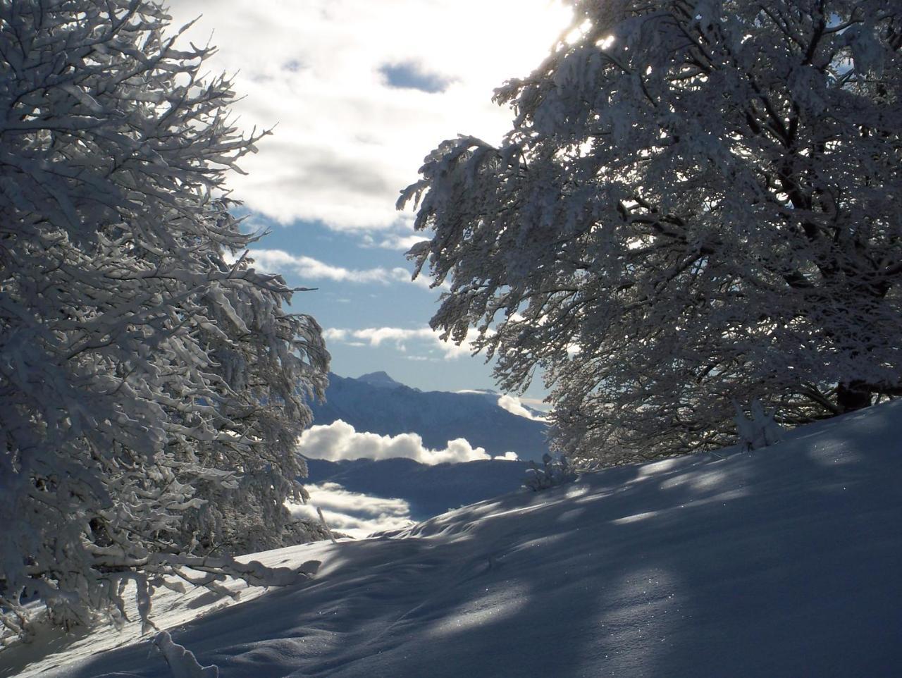 Le Chalet Du Blanc Spa Yoga Aillon-le-Jeune Εξωτερικό φωτογραφία