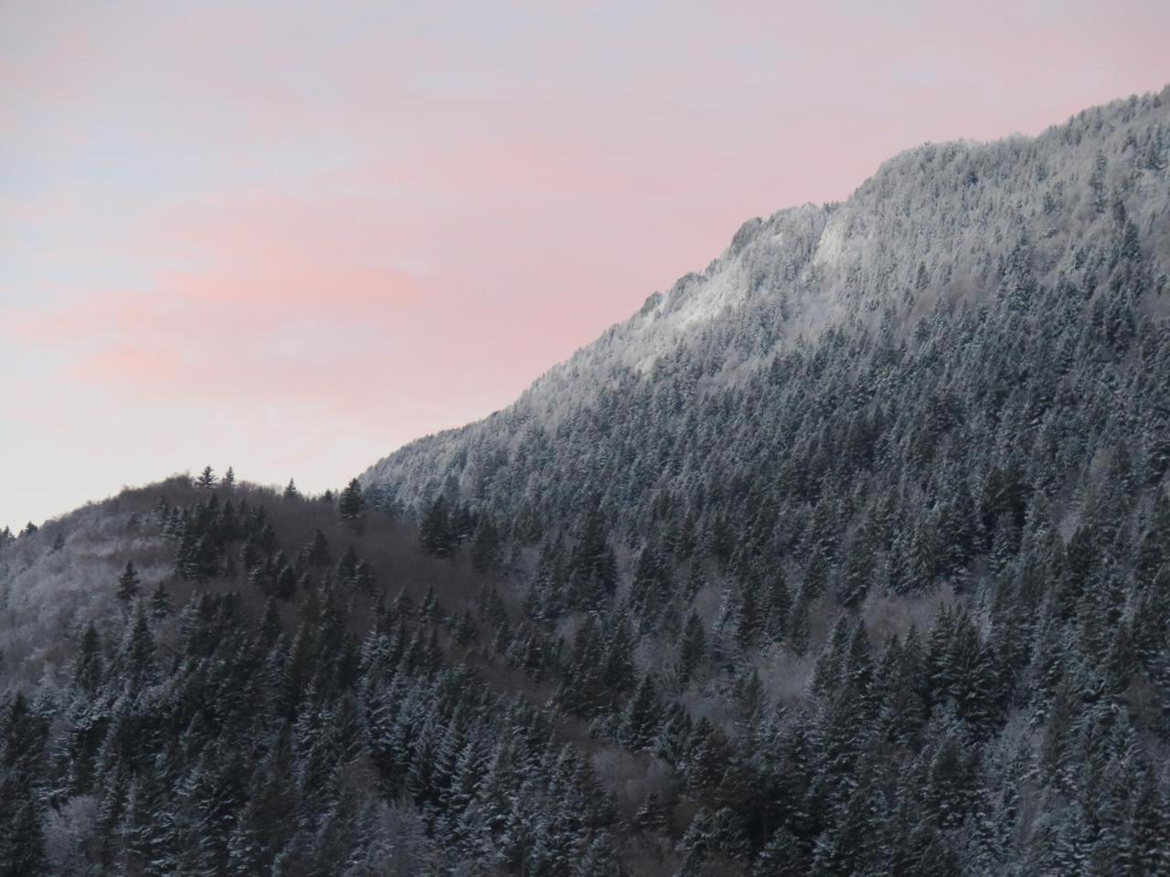 Le Chalet Du Blanc Spa Yoga Aillon-le-Jeune Εξωτερικό φωτογραφία